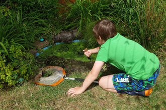 Child with frog on his hand with his armoutreached in front, knelt down over small garden pond with his left hand resting on the floor next to a dipping pond net.