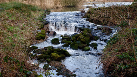 view of the dam at Adel Dam