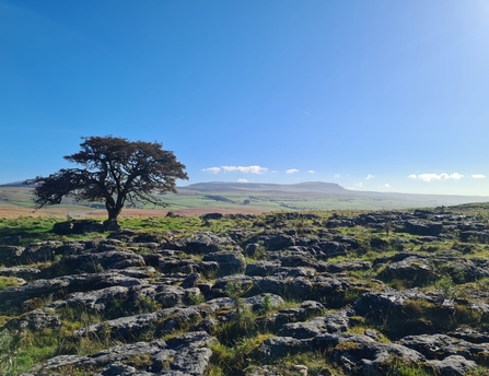 A landscape photograph of Ashes Shaw. Image by Liz Coates.
