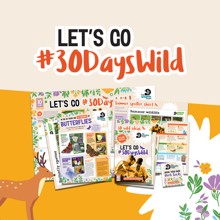 Let's go 30 Days Wild