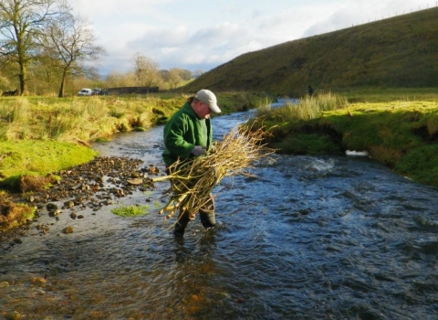 Volunteer on the Upper Aire