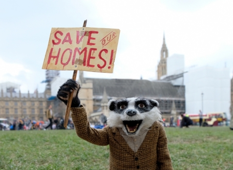 The Time is Now badger potest at Westminster