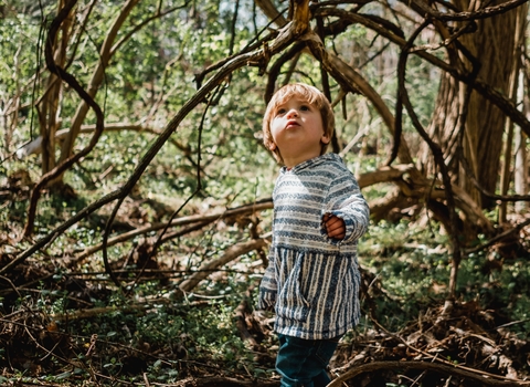 Child looking up in woodland
