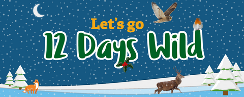 Illustration of a winter scene with the words let's go 12 days wild