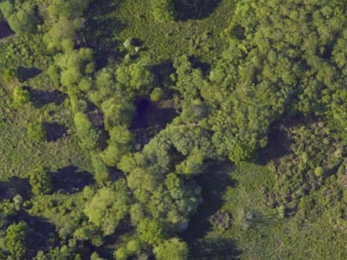 An aerial photo of Askham Bog in 2022. There is significant tree cover and the pond is barely visible.