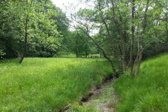 Ashberry Nature Reserve - Jono Leadley