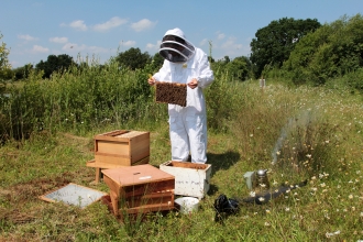 Bee Keeping at Potteric Carr Credit Jim Horsfall