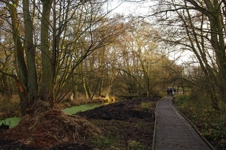 Askham bog