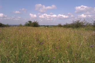 Townclose Hills Nature Reserve