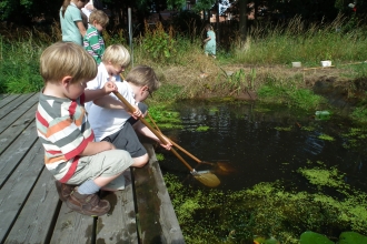 Pond dipping credit Kat Woolley 