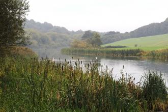 Sprotborough Flash Nature Reserve Credit Peter Dawson