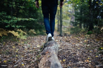 Person walking on tree trunk