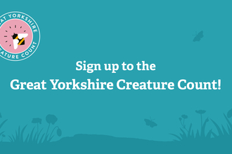 Sign up to the Great Yorkshire Creature Count graphic!