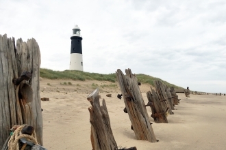 Spurn National Nature Reserve