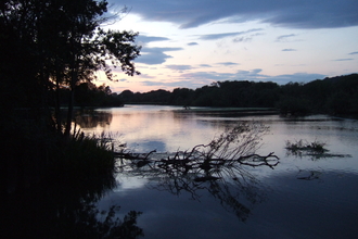 View across the lake at sunset on a wetland nature reserve.