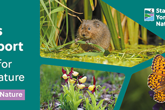 State of Yorkshire's Nature Report. A milestone for Yorkshire's nature. www.ywt.org.uk/StateOfNature