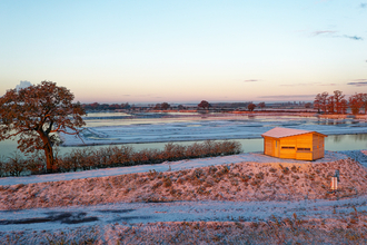 A wooden hide sits to the right of the image on top of a small, frosty hill. There is a tree to the left of the image.