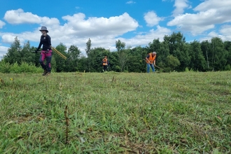 Volunteers in a field on a sunny day raking hay