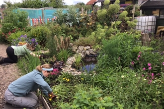 2 women knelt down spaced about 2 metres away from each other, both planting up plants into a large ground level bedding area in a community garden. There is a pond in the middle of the area and it is full of green shrubbery and colourful flowers.