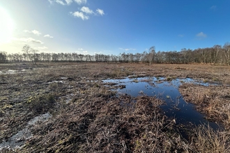 View of a moor after restoration work and it is re-wetted and ready for plants to recolonise