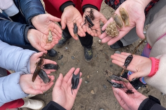 People holding shark eggs, skate eggs and whelk eggs in a circle