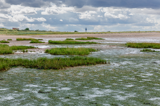 View of Spurn Point