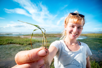 Holding a green seagrass plant to camera, in front of a seagrass meadow and blue sky