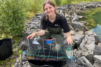 Crayfish officer Vanessa with net trap at Threshfield Quarry ARC site