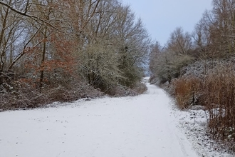 Barlow Common in the Snow