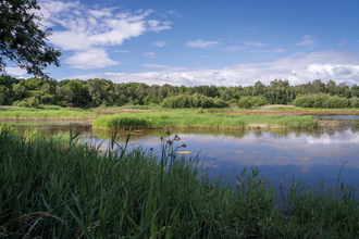 A sunny day at Potteric Carr nature reserve