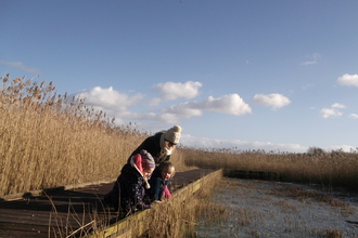 Family at Potteric in winter knealing on the decking next to the water and looking in for wildlife