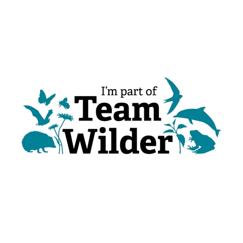 #TeamWilder | Yorkshire Wildlife Trust