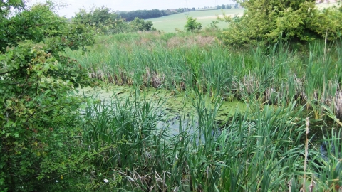 Barnsley Canal Credit Carys Hutton