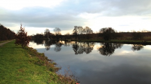 Water Haigh Park Credit Jo Richards