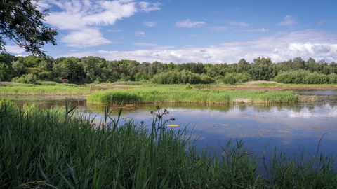 A sunny day at Potteric Carr nature reserve