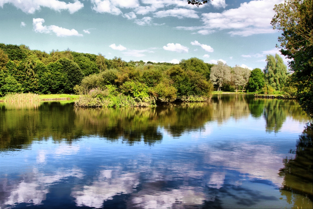 Dearne Valley Conservation | Yorkshire Wildlife Trust