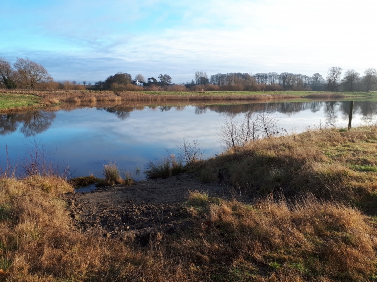 What is a nature reserve? | Yorkshire Wildlife Trust