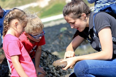 Seashore Safari