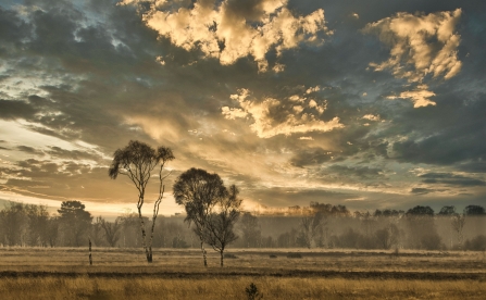 Big skies at Strensall Common (c) Richard Sparnenn