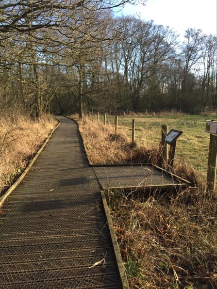 Passing place on boardwalk at Askham Bog