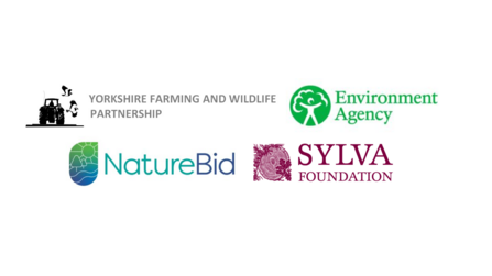 NatureBid logos