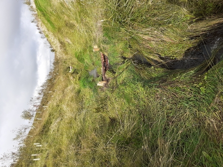 Leaky dam in the River Aire