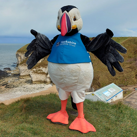 Our puffin mascot, Cliff on top of a cliff.