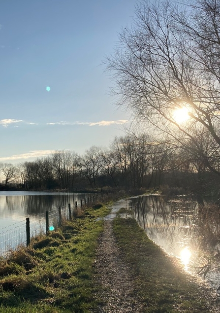 Path running between two flooded fields