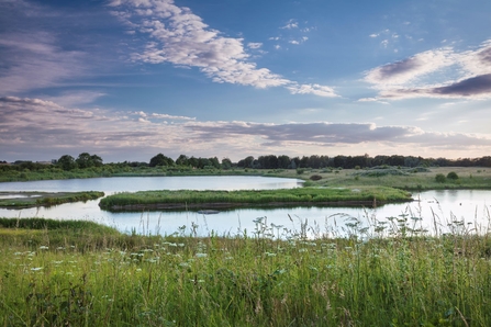 Photo looking across North Cave Wetlands reserve