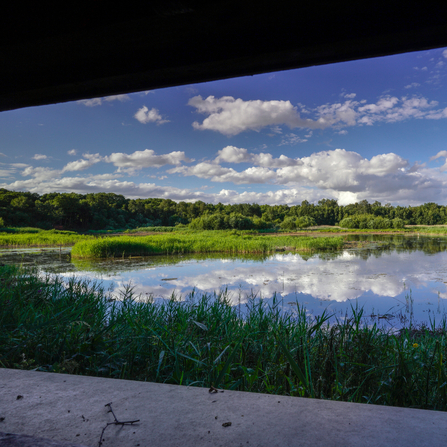 The view out of a bird hide at Potteric Carr nature reserve. The bright, blue summer sky is reflecting in the lake below. Photo by John Potter.