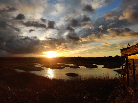 View across a wetland nature reserve as the sun is setting, taken from the side of a bird hide looking out.