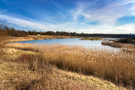 An autumnal photograph of the main lake at North Cave Wetlands.