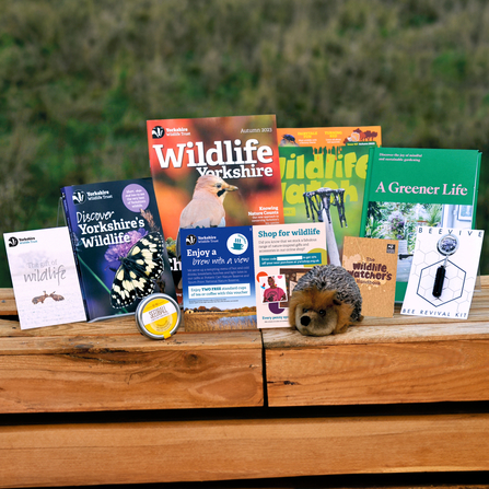 The contents of our gift membership box presented on a wooden table.