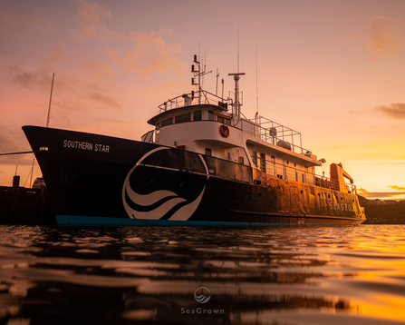 View of a ship docked in a harbour as the sun is setting